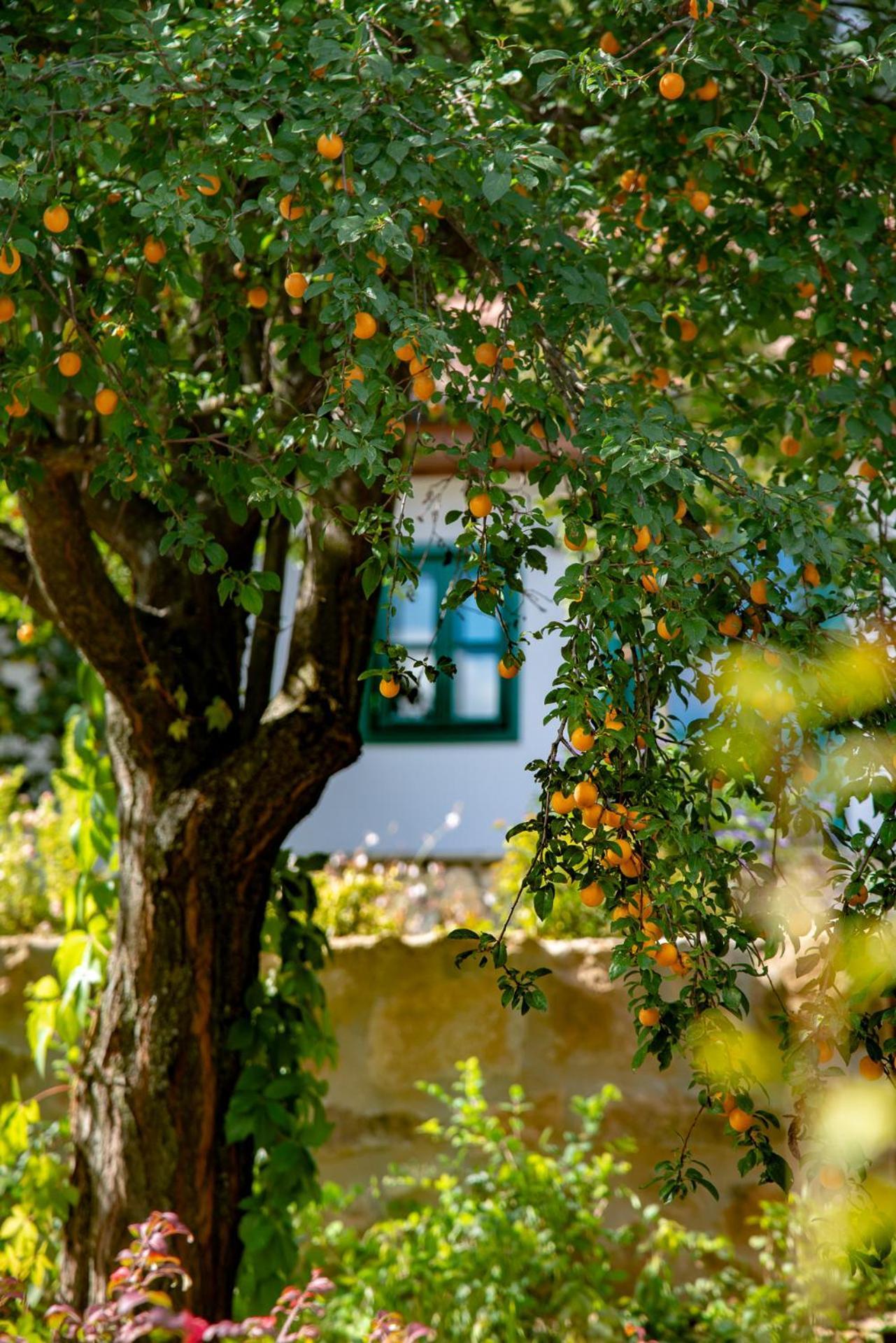 Alsopetenyi Vendeghazak Exterior photo